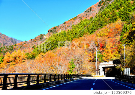 白沢桟道橋付近より白沢第4洞門方面を望む(山梨県早川町)【2025.11】 133509376