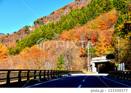 白沢桟道橋付近より白沢第4洞門方面を望む(山梨県早川町)【2025.11】 白沢桟道橋付近より白沢第4洞門方面を望む(山梨県早川町)【2025.11】 133509377