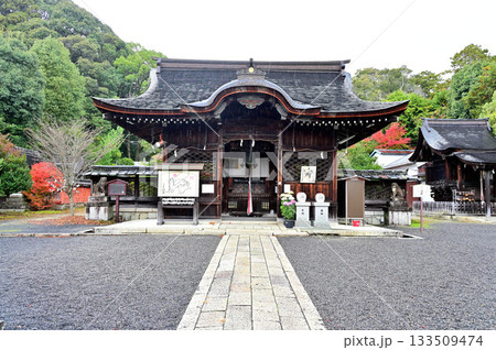 三尾神社　本殿 133509474