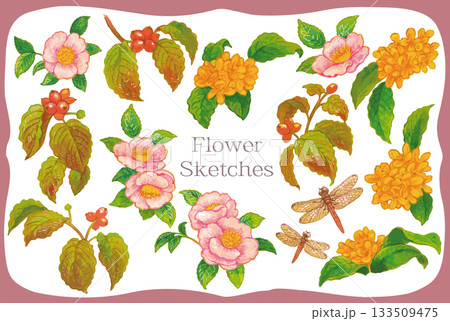 秋の植物のスケッチ素材。ベクターイラスト素材。 133509475