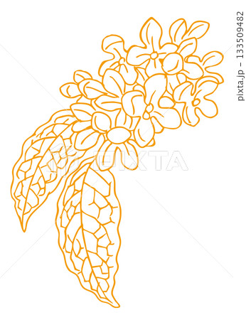 キンモクセイのスケッチ素材。ベクターイラスト素材。 133509482