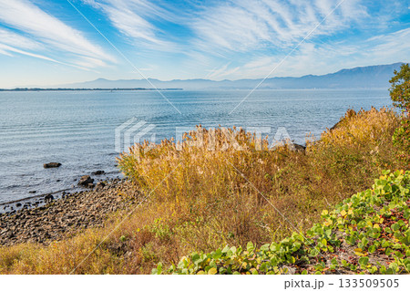 秋の琵琶湖畔風景 滋賀県近江八幡市 秋の琵琶湖畔風景 滋賀県近江八幡市 133509505