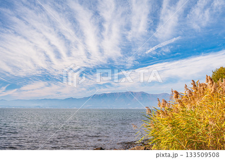秋の琵琶湖畔風景　滋賀県近江八幡市 133509508