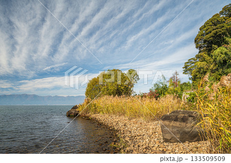 秋の琵琶湖畔風景　滋賀県近江八幡市 133509509