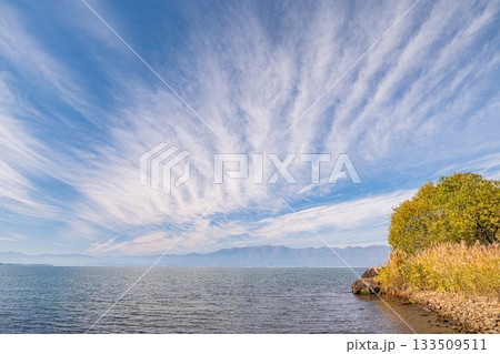 秋の琵琶湖畔風景 滋賀県近江八幡市 秋の琵琶湖畔風景 滋賀県近江八幡市 133509511