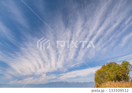 秋の琵琶湖畔風景　滋賀県近江八幡市 133509512