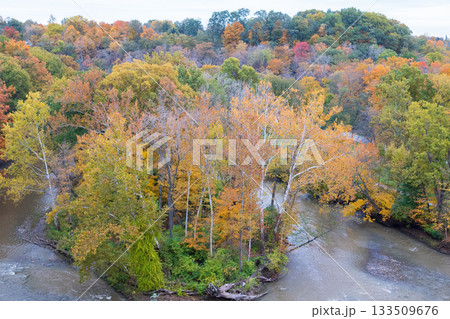 Panoramic View of River Fork Surrounded by Autumn Trees Panoramic View of River Fork Surrounded by Autumn Trees 133509676