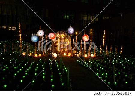 Tobishima Lights 竹あかり Tobishima Lights 竹あかり 133509817