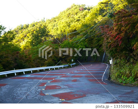 紅葉に彩られた和田峠 133509921