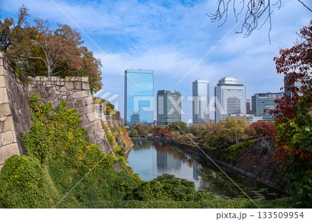 大阪城 133509954