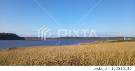 湿地帯 湿地帯 133510130