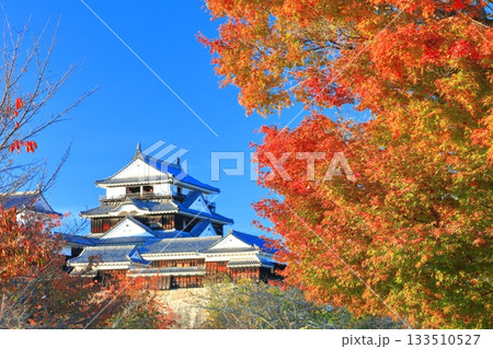 【愛媛県】紅葉の松山城天守閣 133510527
