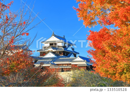 【愛媛県】紅葉の松山城天守閣 【愛媛県】紅葉の松山城天守閣 133510528