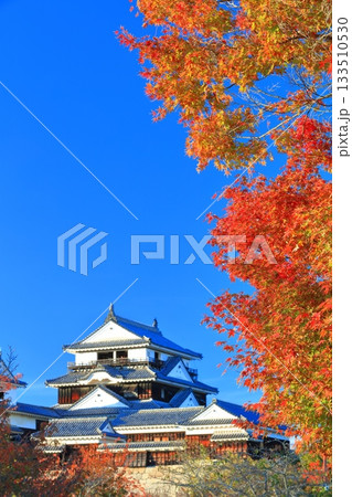 【愛媛県】紅葉の松山城天守閣 【愛媛県】紅葉の松山城天守閣 133510530