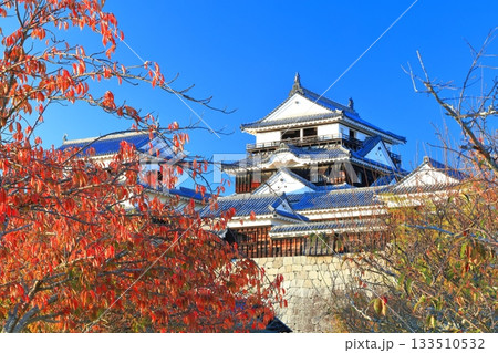 【愛媛県】紅葉の松山城天守閣 【愛媛県】紅葉の松山城天守閣 133510532