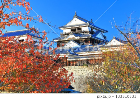 【愛媛県】紅葉の松山城天守閣 133510533