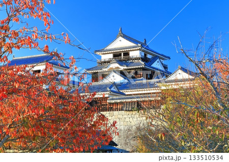 【愛媛県】紅葉の松山城天守閣 【愛媛県】紅葉の松山城天守閣 133510534