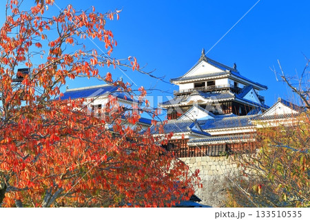 【愛媛県】紅葉の松山城天守閣 133510535