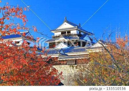 【愛媛県】紅葉の松山城天守閣 133510536