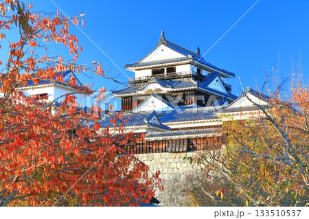 【愛媛県】紅葉の松山城天守閣 【愛媛県】紅葉の松山城天守閣 133510537
