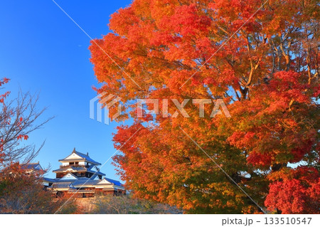 【愛媛県】夕日を浴びる松山城と紅葉 133510547