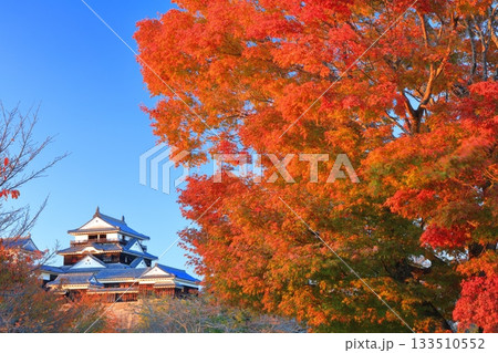 【愛媛県】夕日を浴びる松山城と紅葉 133510552