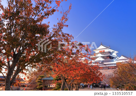 【愛媛県】松山城と紅葉の夕景 133510557