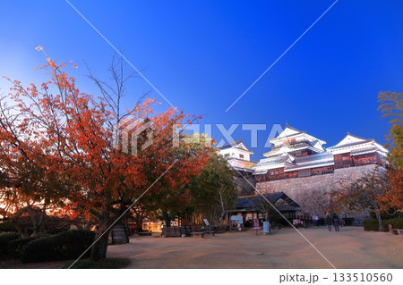 【愛媛県】松山城天守閣の夜景 133510560