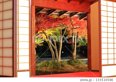 【愛媛県】松山城の二之丸光の庭園（聚楽亭） 133510586