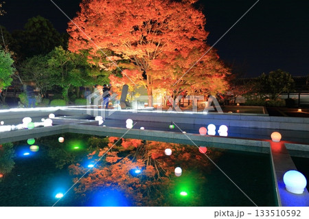 【愛媛県】松山城の二之丸光の庭園 【愛媛県】松山城の二之丸光の庭園 133510592
