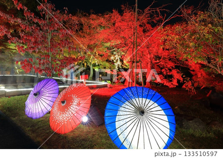 【愛媛県】松山城の二之丸光の庭園 133510597