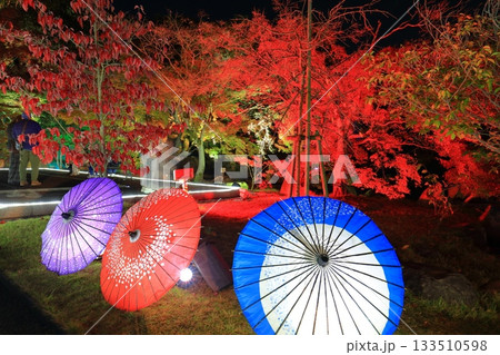 【愛媛県】松山城の二之丸光の庭園 133510598