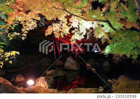 【愛媛県】松山城の二之丸光の庭園 【愛媛県】松山城の二之丸光の庭園 133510599