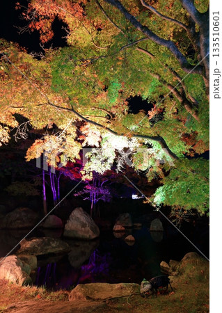 【愛媛県】松山城の二之丸光の庭園 【愛媛県】松山城の二之丸光の庭園 133510601