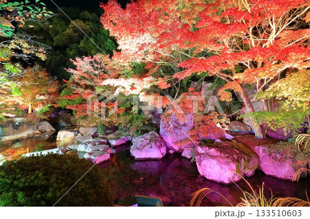 【愛媛県】松山城の二之丸光の庭園 133510603