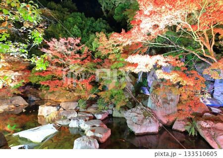 【愛媛県】松山城の二之丸光の庭園 【愛媛県】松山城の二之丸光の庭園 133510605
