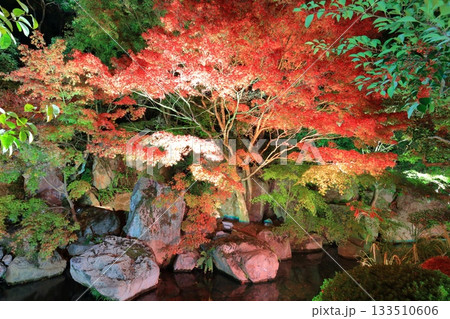 【愛媛県】松山城の二之丸光の庭園 【愛媛県】松山城の二之丸光の庭園 133510606
