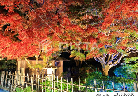 【愛媛県】松山城の二之丸光の庭園 【愛媛県】松山城の二之丸光の庭園 133510610