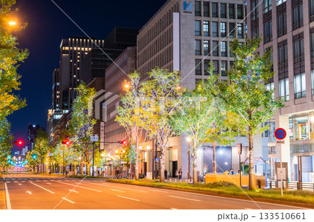 《大阪府》御堂筋イルミネーション・2025 133510661