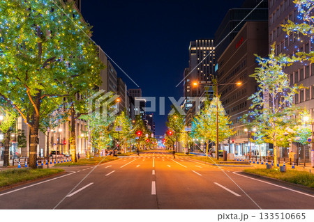 《大阪府》御堂筋イルミネーション・2025 133510665