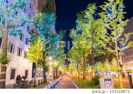 《大阪府》御堂筋イルミネーション・2025 133510671