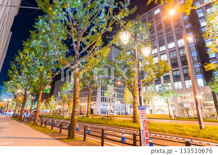 《大阪府》御堂筋イルミネーション・2025 133510676