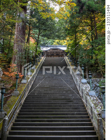 大雄山最乗寺の紅葉 133511494