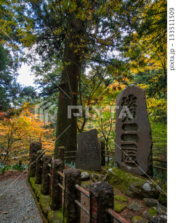 大雄山最乗寺の紅葉 大雄山最乗寺の紅葉 133511509