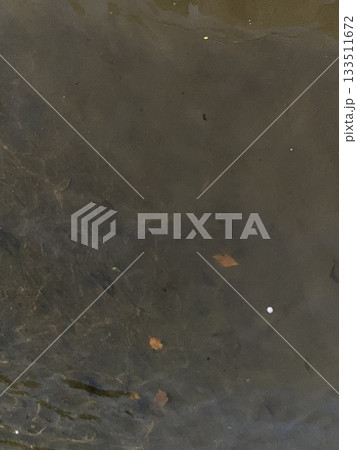 用水路の落ち葉や泥 133511672