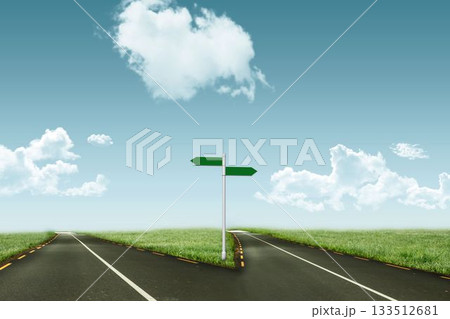 Road leading out to the horizon Road leading out to the horizon 133512681