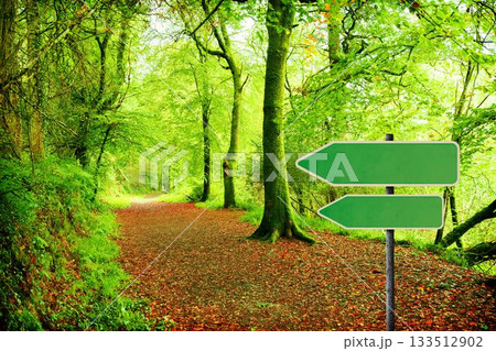 Green road sign by forest trail 133512902
