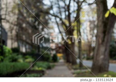 Footpath by trees in city 133513024