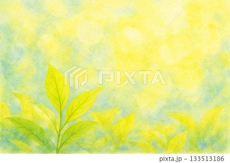 新緑　若葉　エコ　油彩画 133513186