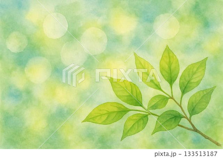 新緑　若葉　エコ　水彩画 133513187